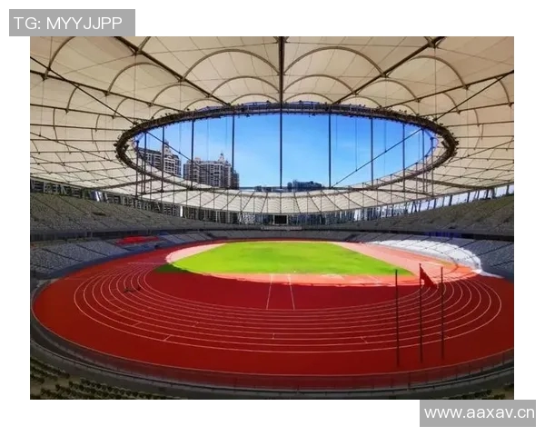 深圳网球队在钻石联赛中的拼搏历程与荣耀时刻回顾